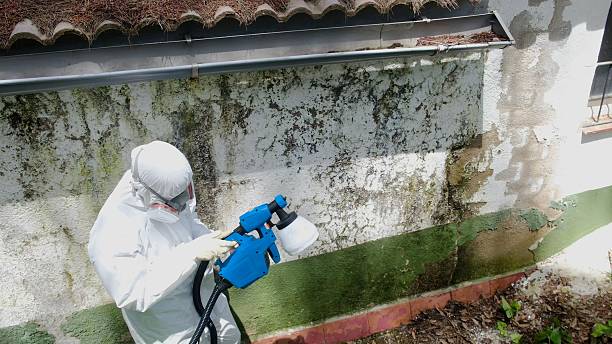 Top rated local Attic Mold Removal specialists in Lewisberry, PA